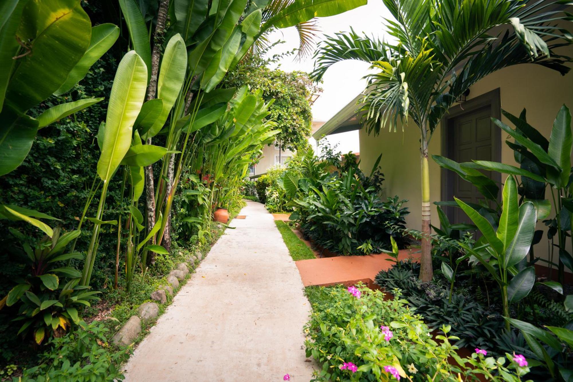 Hotel La Mariposa Manuel Antonio Exteriér fotografie